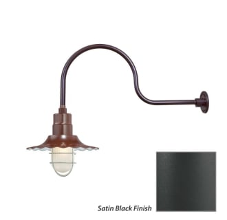 Millennium Lighting-RRWS12-RGN30-Fixture with Satin Black Finish Swatch