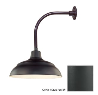 Millennium Lighting-RWHS17-RGN12-Fixture with Satin Black Finish Swatch