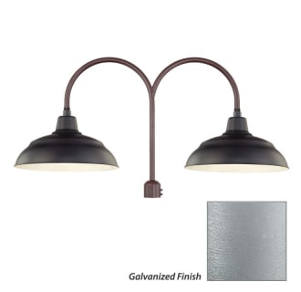 Millennium Lighting-RWHS17-RPAD-Fixture with Galvanized Finish Swatch