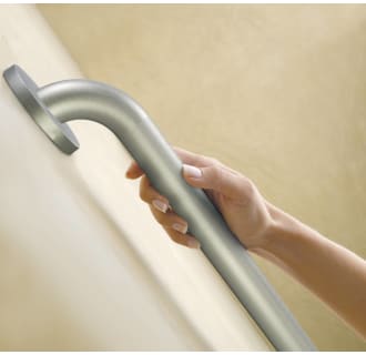 Grab Bar in Use