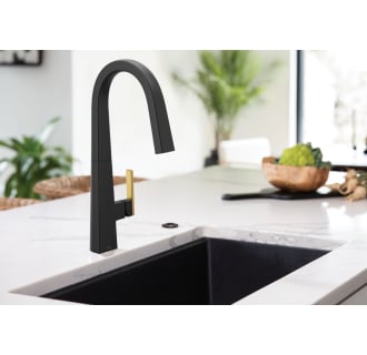 Matte Black Faucet with Brushed Gold Handle