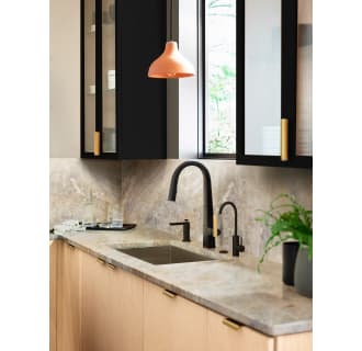 Matte Black Faucet with Brushed Gold Handle
