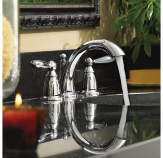 Moen-T6620-Installed in use view