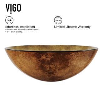 Vigo-VGT019-Installation Front View
