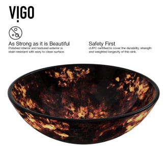 Vigo-VGT101-Detail Front View