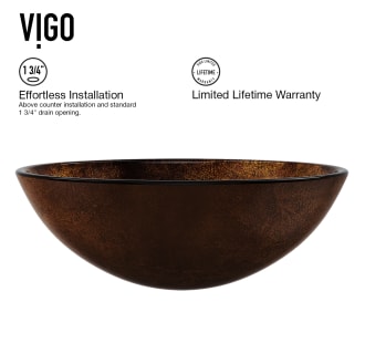 Vigo-VGT1077-Installation Front View
