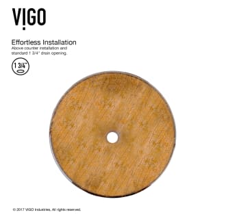 Vigo-VGT391-Alternative View