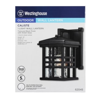 Westinghouse-6204500-Packaging Display