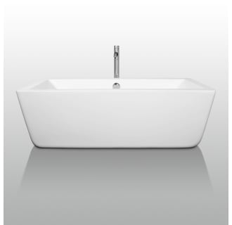 Front View of Tub with Chrome Tub Filler