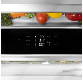 zline--built--in--refrigerator--RBIV-30--detail--panel--fruit