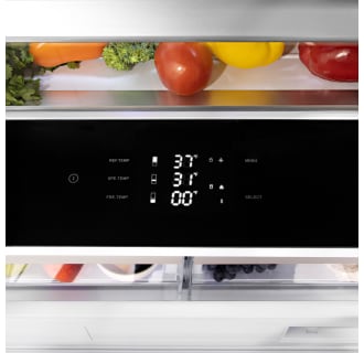 zline--built--in--refrigerator--RBIV-36--detail--panel--fruit
