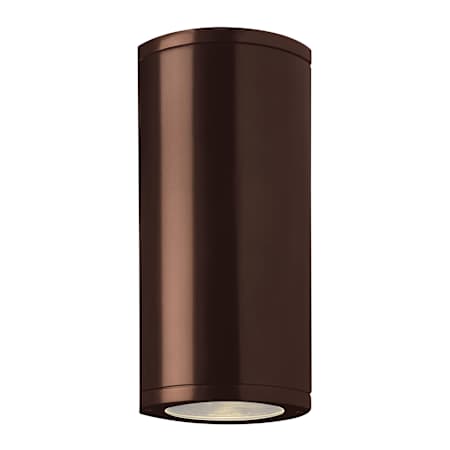 Access Lighting 2 Light Up / Down Lighting Marine Grade Wet Location Outdoor Wall Sconce from the Trident Collection Bronze / Clear