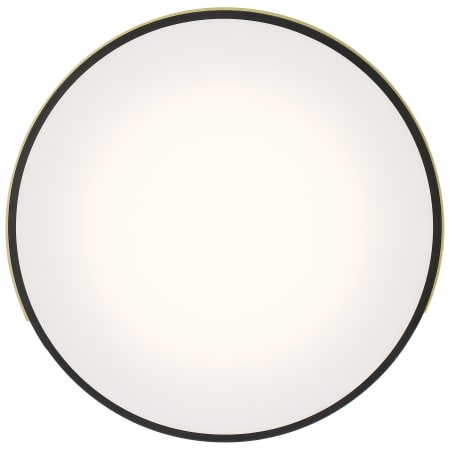 Alternate Image