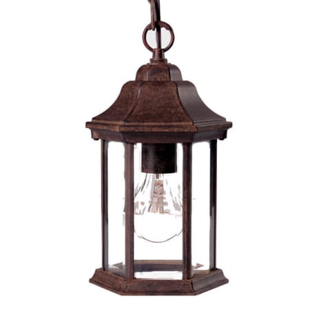 Acclaim Lighting Madison 1 Light Outdoor Pendant with Clear Seeded Glass Black Coral / Clear Beveled Glass