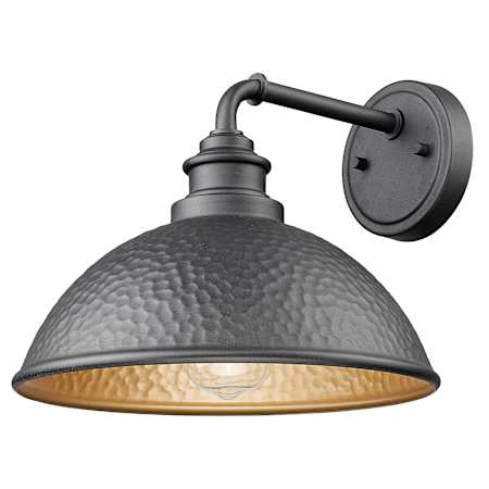 Acclaim Lighting Hammond 11" Tall Outdoor Wall Sconce Hammered Black / Matte Gold