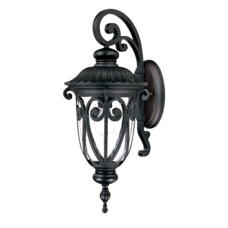 Acclaim Lighting Naples 1 Light Outdoor Wall Sconce with Hand-Blown Clear Seeded Glass Matte Black