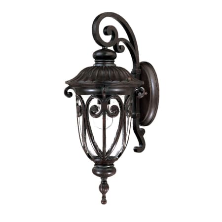 Acclaim Lighting Naples 1 Light Outdoor Wall Sconce with Hand-Blown Clear Seeded Glass Marbleized Mahogany
