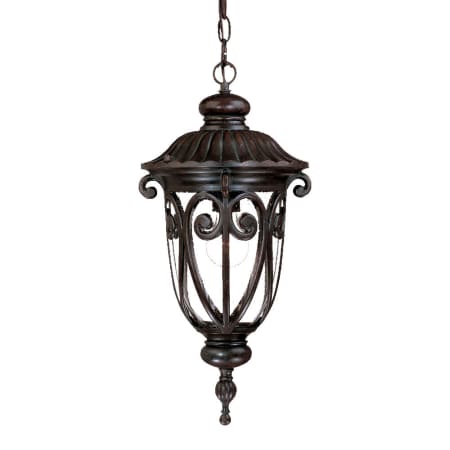 Acclaim Lighting Naples 1 Light 20.5" Height Outdoor Pendant Marbleized Mahogany