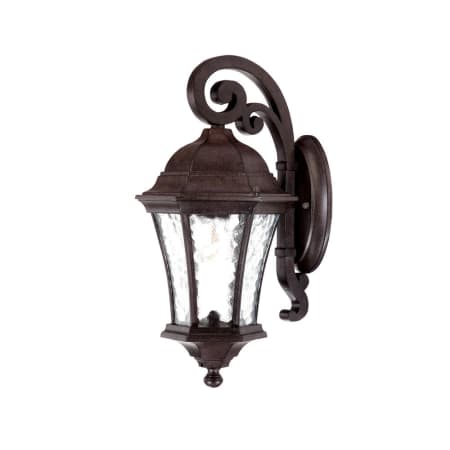 Acclaim Lighting Waverly 1 Light 16.5" Height Outdoor Wall Sconce Black Coral