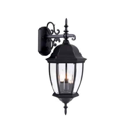 Acclaim Lighting Wexford 3 Light 22.5" Height Outdoor Wall Sconce Matte Black