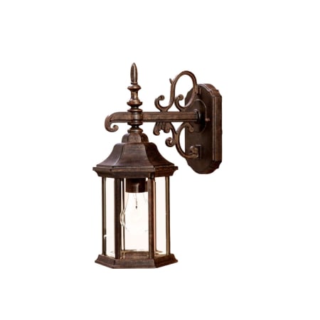 Acclaim Lighting Madison 1 Light Outdoor Wall Sconce with Clear Seeded Glass Black Coral