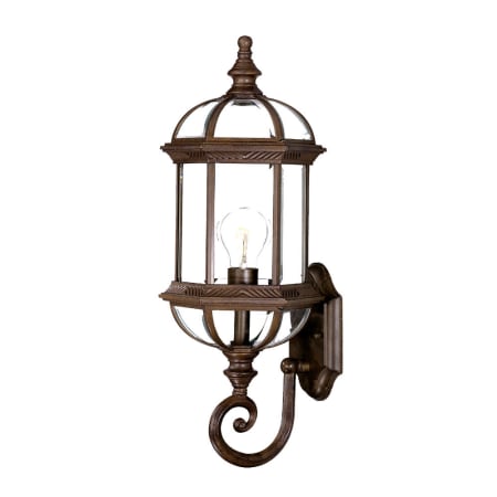 Acclaim Lighting Dover 1 Light Outdoor Lantern Wall Sconce Burled Walnut