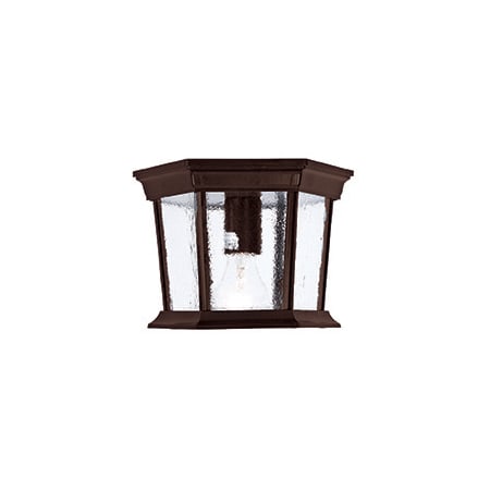 Acclaim Lighting Dover 1 Light Outdoor Ceiling Fixture with Clear Seeded Glass Burled Walnut