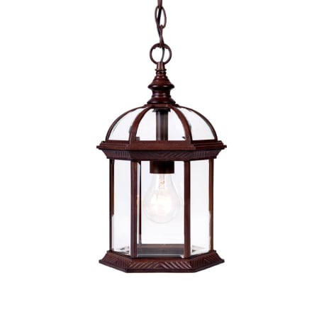 Acclaim Lighting Dover 1 Light 13.75" Height Outdoor Pendant Burled Walnut
