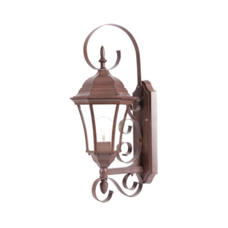 Acclaim Lighting New Orleans 1 Light 22" Height Outdoor Wall Sconce Burled Walnut