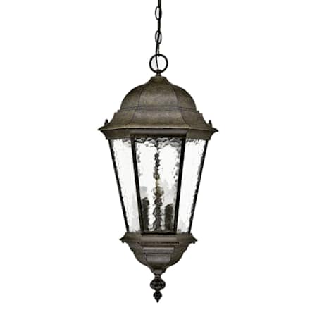 Acclaim Lighting Telfair 3 Light 25.5" Height Outdoor Pendant Black Coral