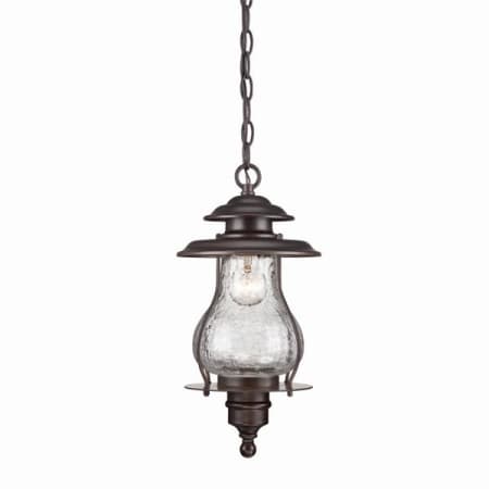 Acclaim Lighting Blue Ridge 1 Light Outdoor Lantern Pendant Architectural Bronze