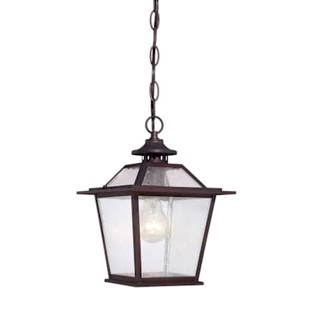 Acclaim Lighting Salem 1 Light Outdoor Pendant with Clear Seeded Glass Architectural Bronze
