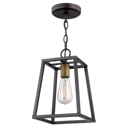 Acclaim Lighting Tiberton Single Light 8" Wide Mini Pendant with Raw Brass Sockets Oil Rubbed Bronze