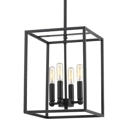 Acclaim Lighting Cobar 4 Light 10" Wide Full Sized Pendant Matte Black