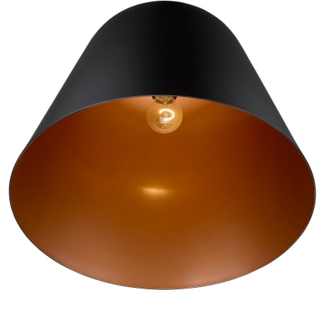 Alternate View