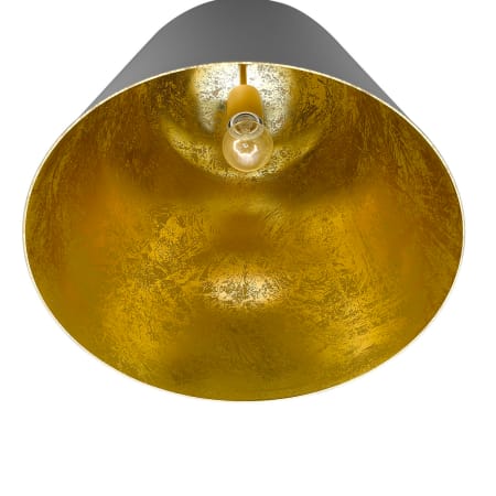 Alternate View