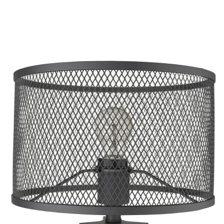 Alternate View