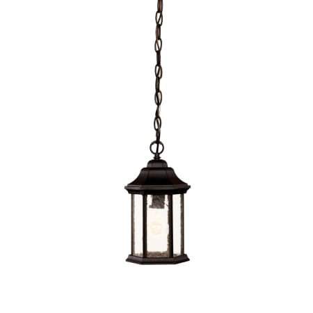 Acclaim Lighting Madison 1 Light Outdoor Pendant with Clear Seeded Glass Matte Black / Clear Seeded Glass