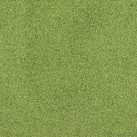 Ackland Sample Only of AKLTF15X100-16MM78OZ-SM Fairway Green