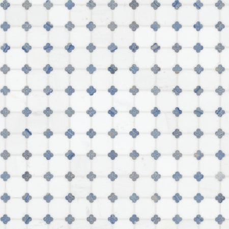 Ackland 12" x 12" Marble Floral Wall Mosaic Tile - Polished Visual - Sold by Carton (10 SF/Carton) Loredana