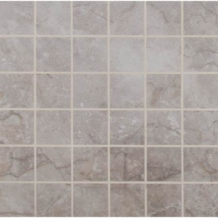 Ackland Sample Only of AKN-C-AP2X2SQM-CA Grisa