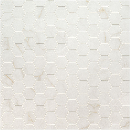 Ackland Sample Only of AKN-P-BE2X2HXM-CA Carmara