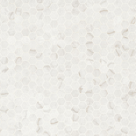 Ackland Sample Only of AKN-P-BE2X2HXP-CA Carmara