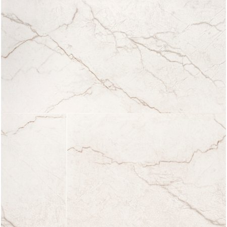 Ackland Beldale - 24" x 48" Porcelain Solid Floor and Wall Tile - Polished Visual - Sold by Carton (16 SF/Carton) Carmara