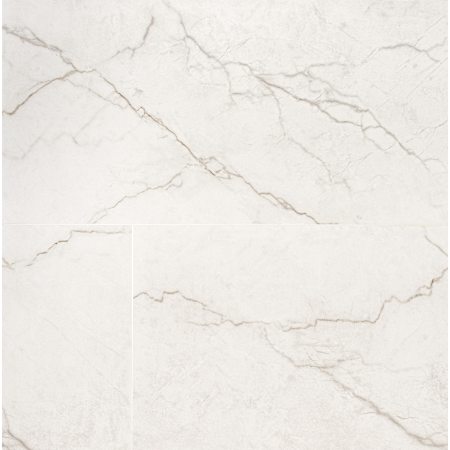Ackland Beldale - 24" x 48" Porcelain Solid Floor and Wall Tile - Polished Visual - Sold by Pallet (432 SF/Pallet) Carmara