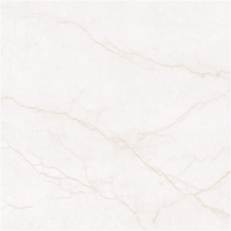 Ackland Beldale - 48" x 48" Porcelain Solid Floor and Wall Tile - Matte Visual - Sold by Carton (32 SF/Carton) Carmara