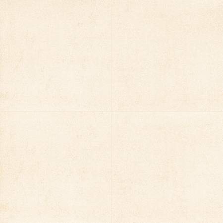 Ackland Betonica - 24" x 24" Porcelain Solid Floor and Wall Tile - Matte Visual - Sold by Carton (16 SF/Carton) Canvas