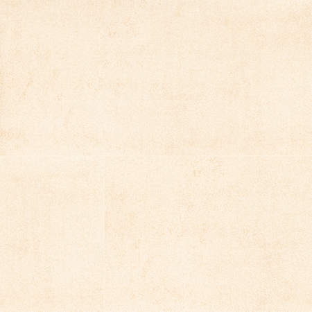 Ackland Betonica - 24" x 48" Porcelain Solid Floor and Wall Tile - Matte Visual - Sold by Carton (16 SF/Carton) Canvas