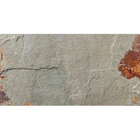 Ackland 12" x 24" Stone Solid Floor and Wall Tile - Textured Visual - Sold by Pallet (240 SF/Pallet) Sierra Gold