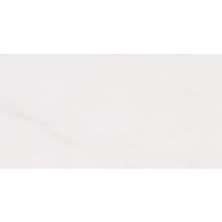 Ackland 12" x 25" Marble Solid Floor and Wall Tile - Polished Visual - Sold by Carton (10 SF/Carton) Calabria Frost